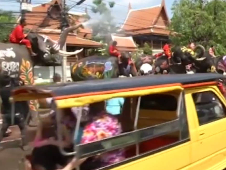 Inizia il Capodanno Thai con la doccia degli elefanti, il video del rituale