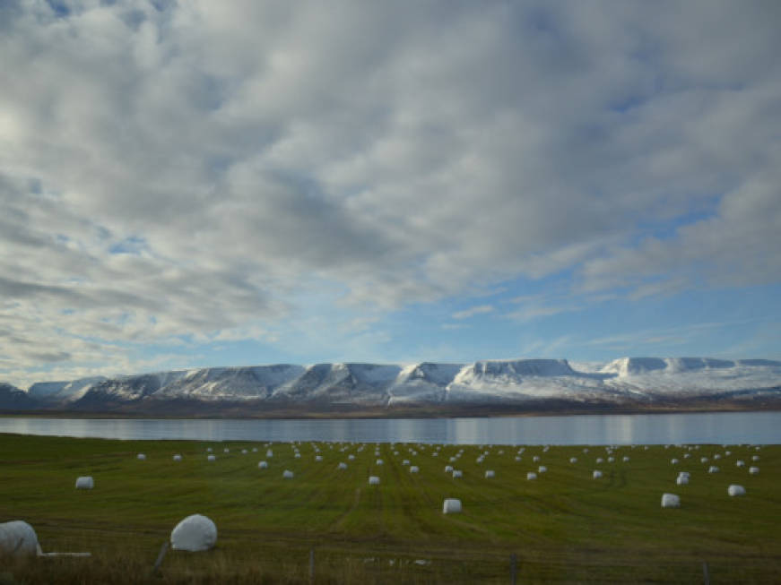 I vulcani islandesi si risvegliano, allerta del Foreign Office