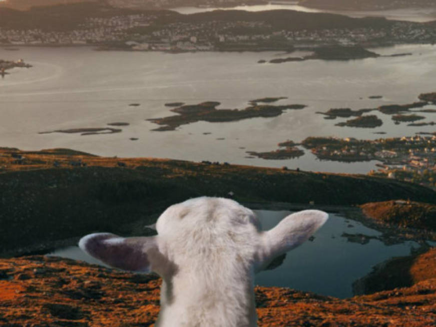 #SheepWithAView: la Norvegia vista dalle pecore
