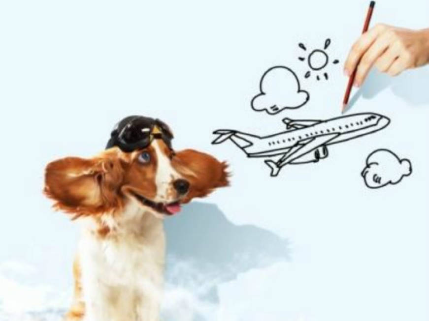 Addio allo stess da volo, all&amp;#39;aeroporto di Genova sbarca la Pet Therapy