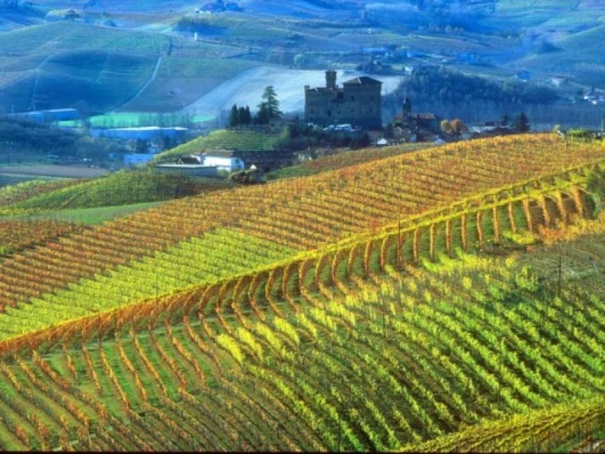 Il Piemonte lancia la candidatura Unesco dei paesaggi vitivinicoli