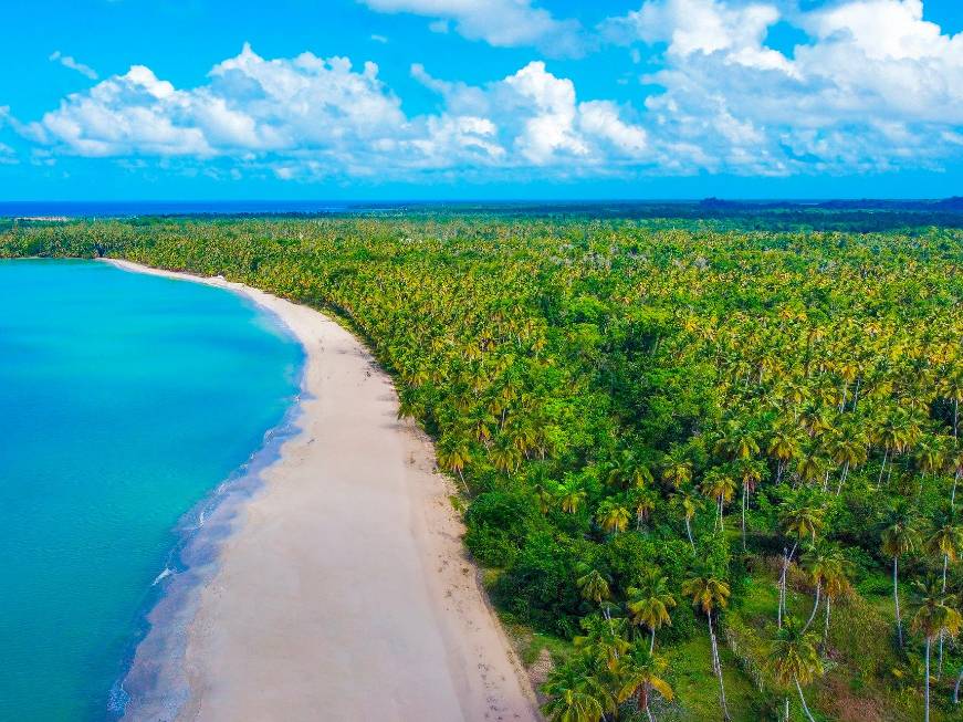 Viva Resorts by Wyndham: il Messico si veste di tradizioni, Miches svela il suo inverno tropical