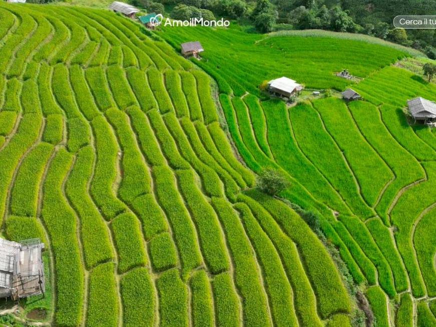 Informativo ed emozionale: il nuovo sito web di Amo il Mondo