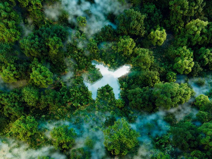 Ue contro il greenwashing,21 vettori cambianole dichiarazioni ambientali