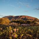 Il Western Australia dei record si promuove in Italia