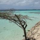 Aruba, riparte la promozione sui mercati europei