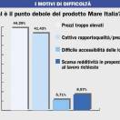 Prezzi, qualità, collegamenti e margini bassi: i 4 punti deboli