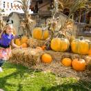 Leolandia, al via i festeggiamenti per HalLEOween