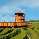 Longleat Hedge Maze, in Inghilterra il labirinto più grande del mondo