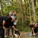 Wedding tourismin Italia: gli sposi cinesi e la caccia al tartufo