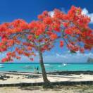 Mauritius e SeychellesLe isole mai viste prima