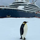 Ponant apre le vendite sull’Antartide per l’inverno 2023-24