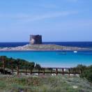 Stintino, niente asciugamani sulla spiaggia più bella d'Italia