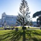 Meloni, Roma: &quot;Grazie a Spelacchio più turisti a piazza Venezia&quot;