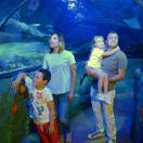 I primi 10 anni del Gardaland Sea Life Aquarium