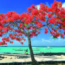 Mauritius e SeychellesIl paradiso si apre per tutti