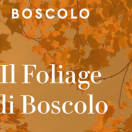 Boscolo: autunno di scoperta con i viaggi guidati fra Italia ed Europa
