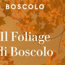 Boscolo: autunno di scoperta con i viaggi guidati fra Italia ed Europa