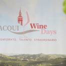 I ministri Patuanelli e Dadone agli ‘Acqui Wine Days’