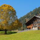 Bene l’agriturismo, ma molte le strutture chiuse per i costi