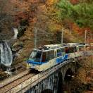 I colori dell’autunno: torna il Treno del Foliage