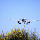 Non può partecipare al concorso pubblico per un volo cancellato: la compagnia deve risarcire