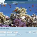 Condor incentiva le agenzie con la campagna 'Maggio Pop'