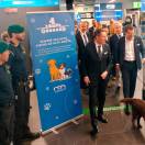 Cani a bordo in aereo: effettuato il primo volo di Ita Airways