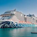 Msc valutal’idea dei charterper il rimpatrio