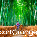 CartOrange e il suo tour operator: un servizio “su misura” per i Consulenti di viaggio. Quando la personalizzazione diventa identità