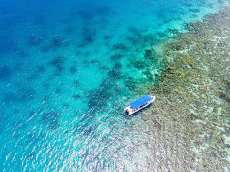 WWF Travel a Puerto Galera con il biologo marino