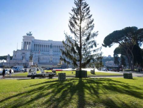 Meloni, Roma: &quot;Grazie a Spelacchio più turisti a piazza Venezia&quot;