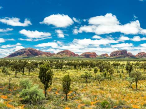 Australia verso la rimozione del travel ban da novembre