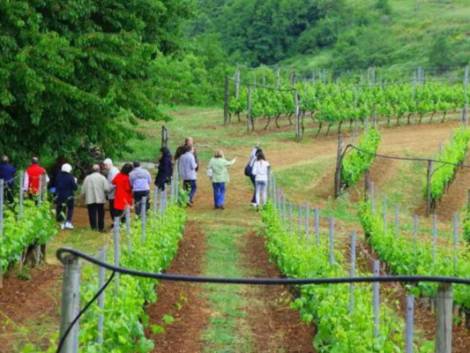 Viaggio nell'Italia del gusto: tutti i numeri del turismo enogastronomico