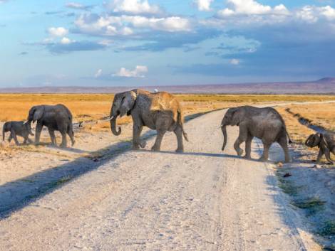 Evaneos fa ripartire le famiglie: ecco le proposte più curiose nel mondo