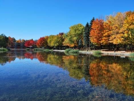 Canada, dal primo ottobre stop a tutte le restrizioni