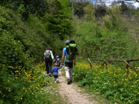 Abruzzo, Lazio, Marche e Umbria fanno squadra, via alla campagna congiunta