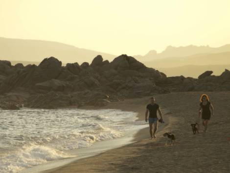 Baia Holiday lancia il soggiorno Coco con gli amici a 4 zampe