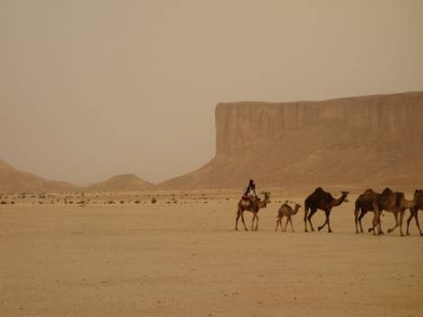 La Parigi-Dakar sbarca in Arabia Saudita