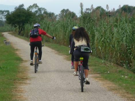 Marche, un corso formativo per accompagnatori cicloturistici