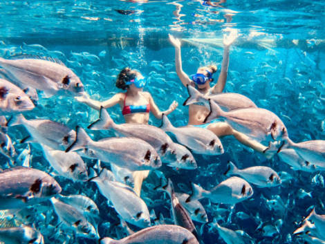 Costa Crociere lancia la novità 'National Geographic Day Tours'