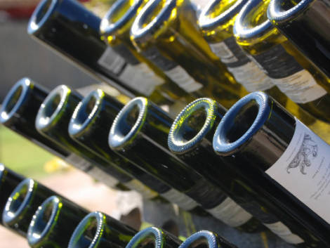Quality Group lancia QWine: gli agenti scoprono le destinazioni partendo dal vino