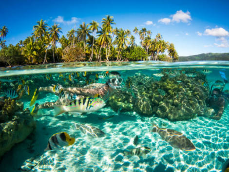 Go Australia rilancia su Tahiti con viaggi ‘green’ per gli amanti del surf