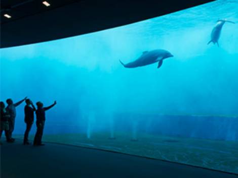 Riapre il 28 maggio l’Acquario di Genova