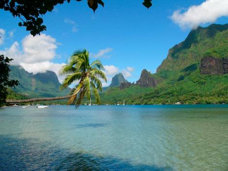 Ponant al cuore della Polinesia francese: ecco i sei itinerari 2026
