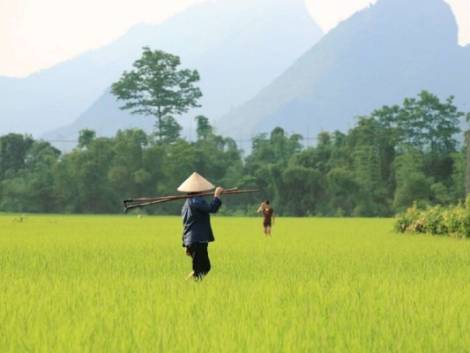 Vendere Asia e Triangolo d’Oro: tutti i segreti degli specialisti