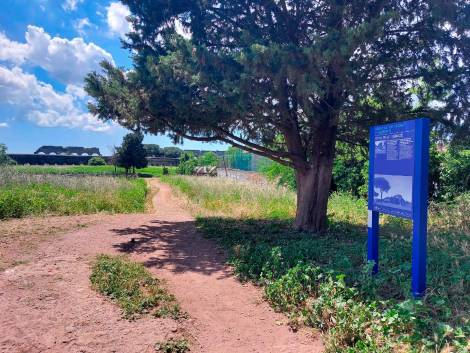 Roma inedita, Onorato inaugura un tour tra archeologia e natura