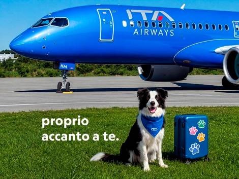 Ita Airways avvia il servizio “Large Dog On Board” per cani di grossa taglia a bordo