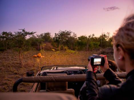 Osservazione della fauna ma anche esperienze attive di conservazione: in Sudafrica i lodge si posizionano come pionieri del safari etico