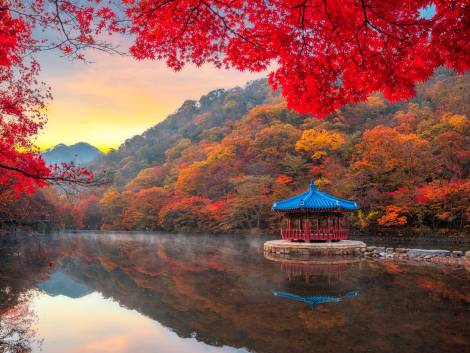 Viaggi, le mete del futuroI t.o. tracciano la rotta